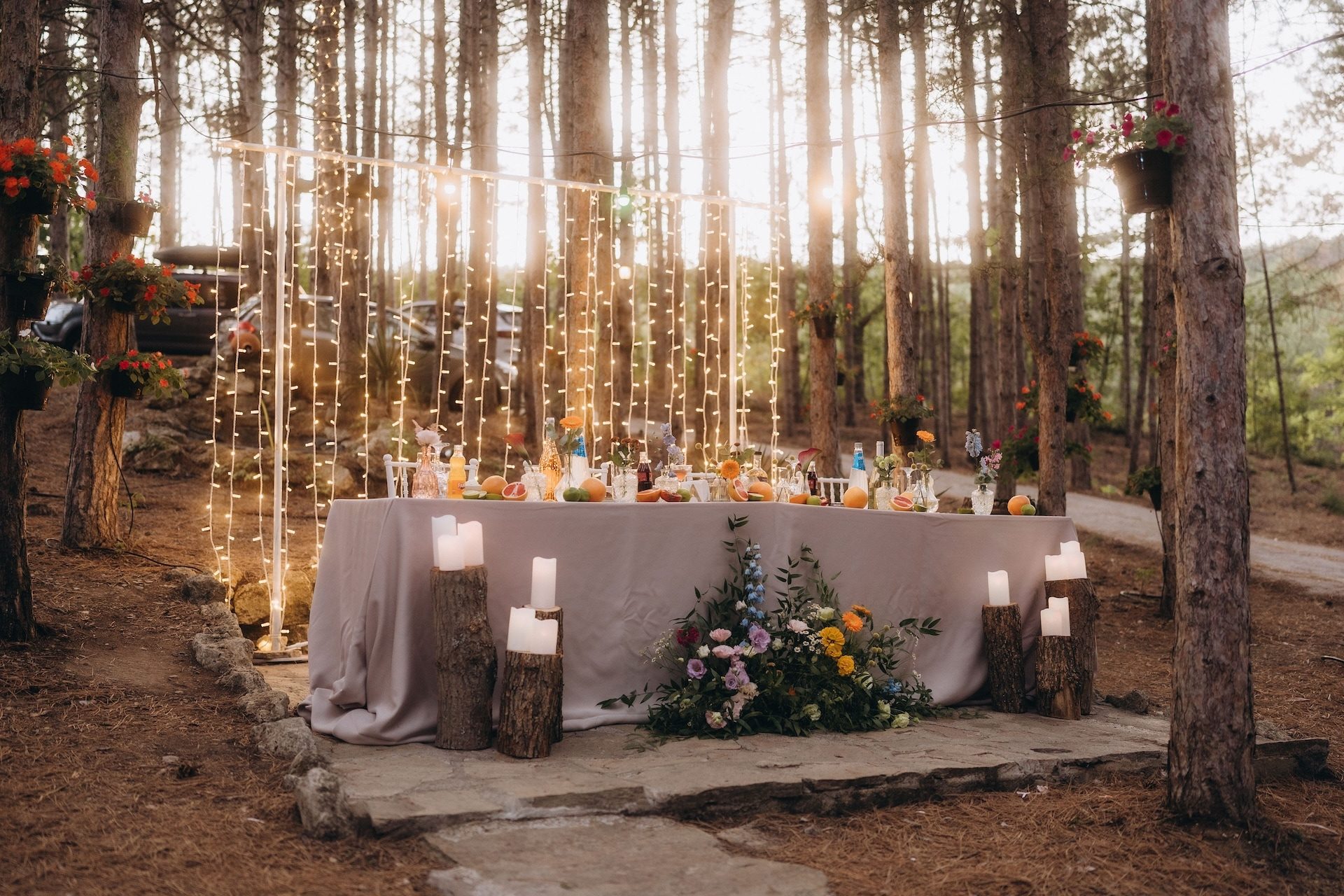 Forest Food House